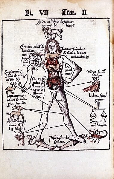 Relationship of organs of the body, the Humours and signs of Zodiac. From Gregor