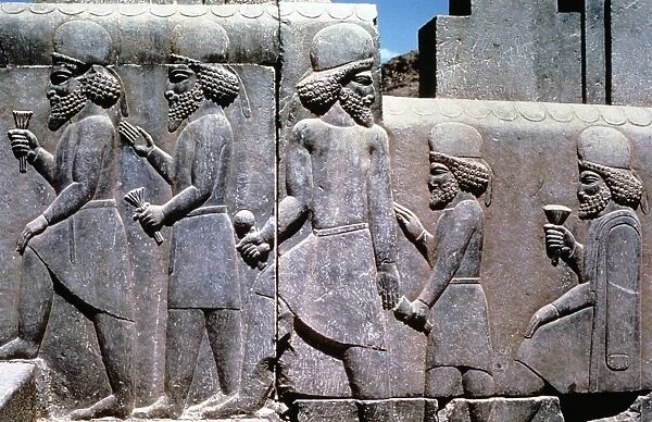 Relief carving on the stairway to the Royal Audience Hall of Darius I (548-486 BC) king of Persia