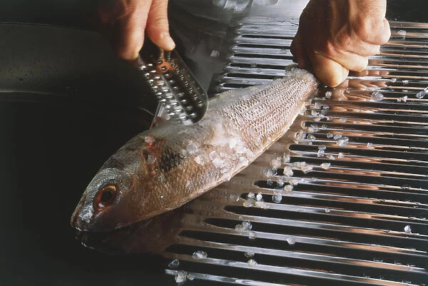 Removing scales from fish, close-up