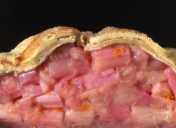 Rhubarb pie, cross-section