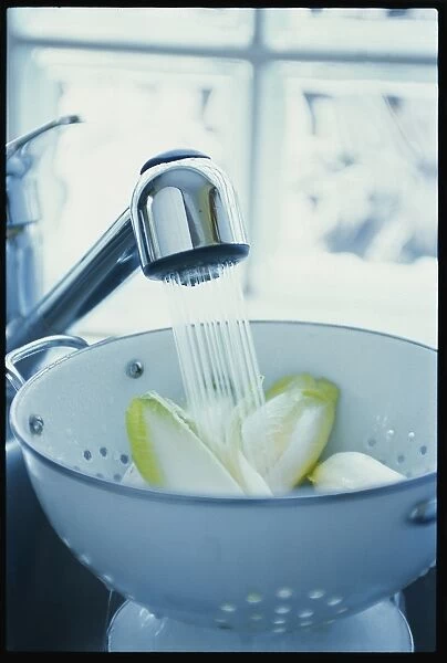 Rinsing chicory leaves in colander with water flowing from spray tap, variable focus