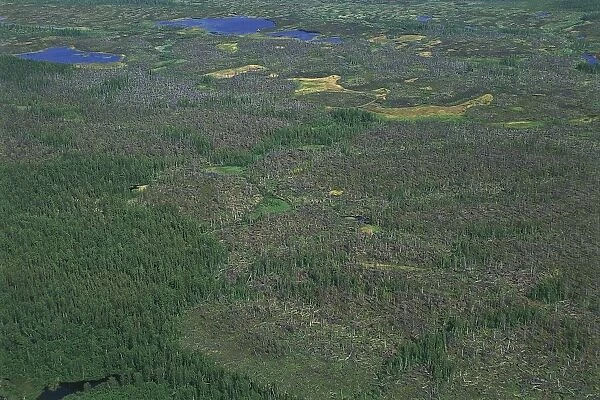 Russia, Siberia, Aerial view of marshes in surroundings of Igarka