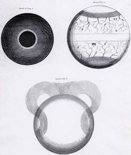 The Sacred Theory of Earth by Thomas Burnet, 1817
