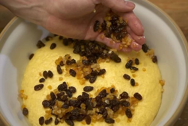 Scattering mixed chopped peel and raisins over a panettone dough