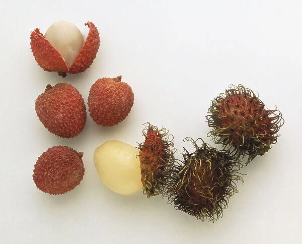 Selection of exotic fruit including Litchi chinensis, Lychees, Nephelium lappaceum, Rambutans, Passiflora sp. Passion Fruit, Passiflora ligularis, Granadillas, close up