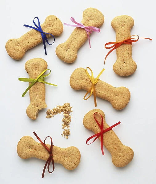 Seven dog biscuits with colourful bows tied around them