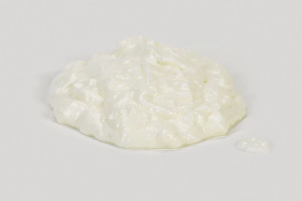 Sheeps milk yoghurt, close-up