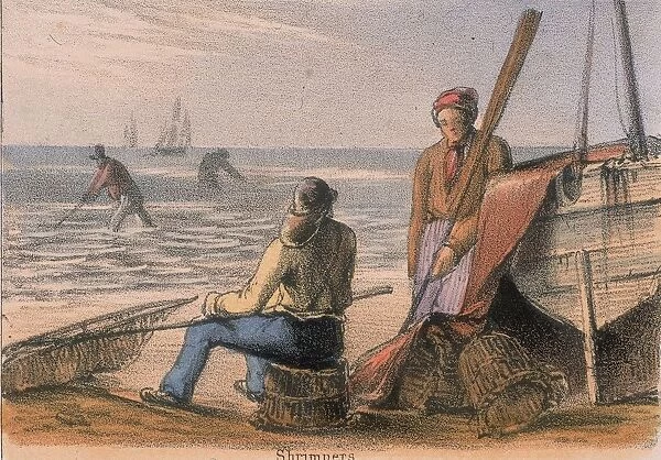 Shrimpers on the beach with their hand nets. From Graphic Illustrations of Animals