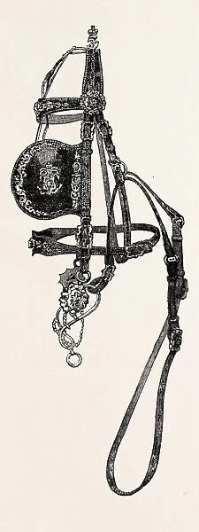 Silver Mounted Carriage Harness