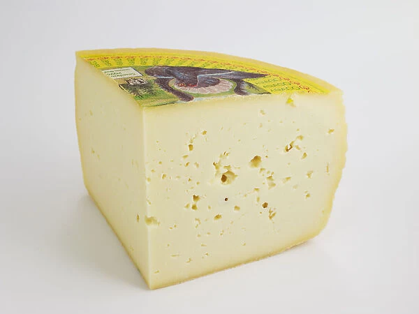 Slice of Italian Asiago PDO cows milk cheese