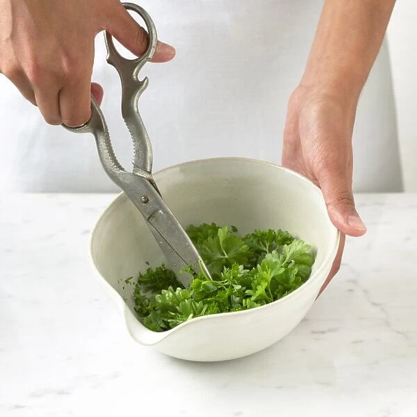 Snipping coriander leaves in bowl, using scissors, close-up