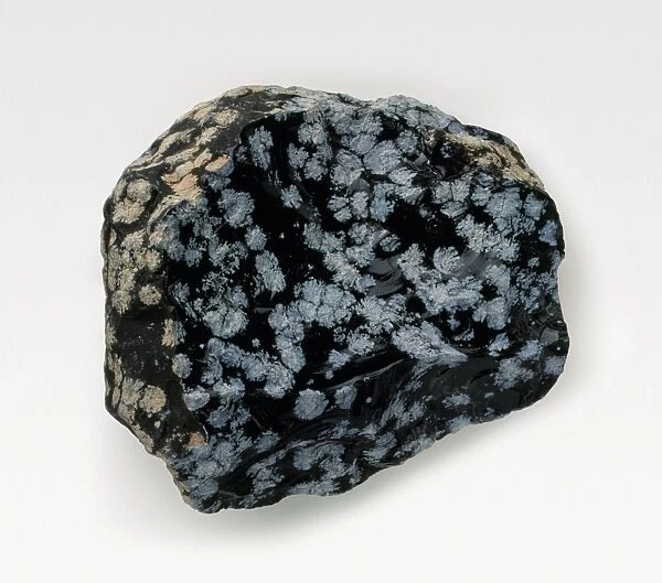 Snowflake Obisidian, a type of volcanic rock