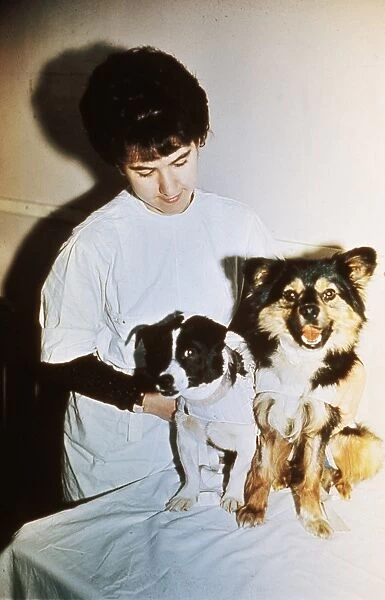 Soviet scientist with two dogs that are being used for research of space travel, 1966