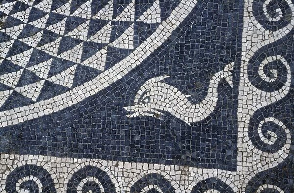 Spain, Catalonia, La Escala, Roman Ampurias, fish geometric floor mosaic