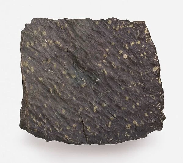 Spilite igneous rock