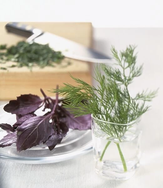 Sprigs of dill in glass of water, purple basil leaves on glass plate, and chopped herbs and kitchen knife on chopping board in background, close-up