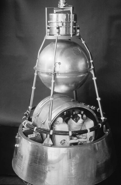Sputnik 2 capsule, 1960s
