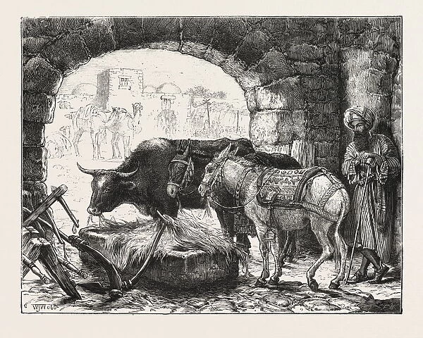 A Stable at Bethlehem, Engraving 1876