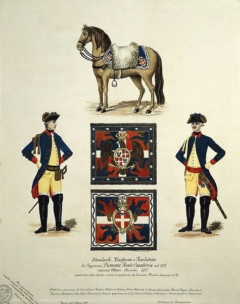 Standards, uniforms and harnesses of Royal Cavalry Regiment, 1774