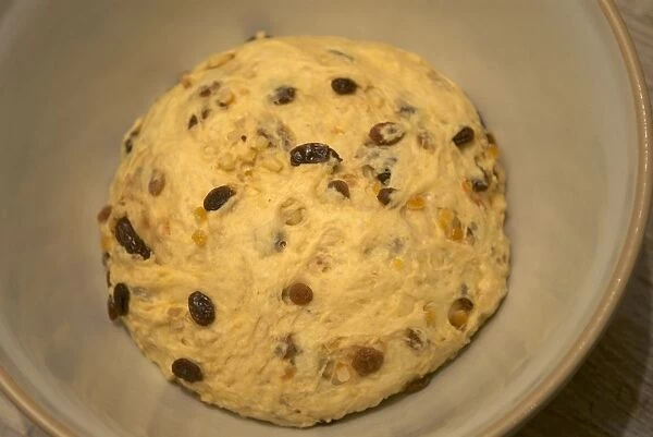 Stollen dough in a bowl resting