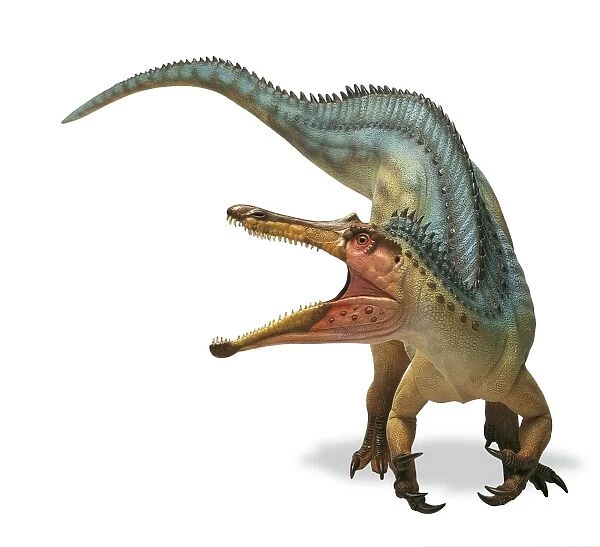 Suchomimus dinosaur with jaws open