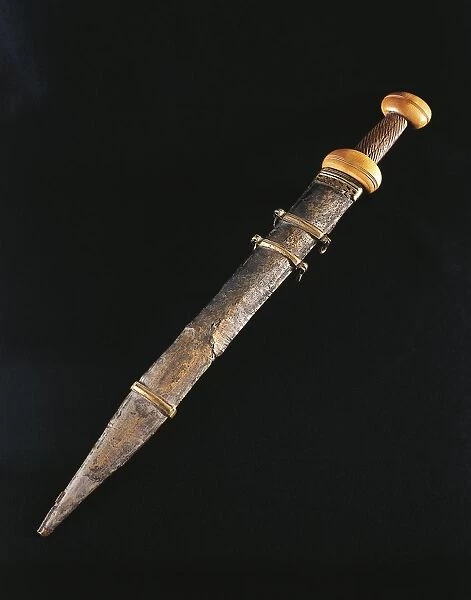 Sword inside bronze, wood and bone sheath, from Pannerden, Netherlands