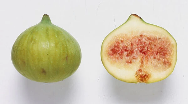 Syconium, a fig and a cross section of a fig