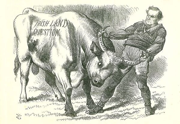 Taking the (Irish) Bull by the Horns: Bill passed by Parliament on 15 February 1870