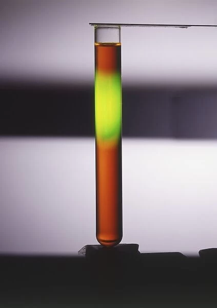 A test tube contaiing a solution of sodium fluorescein