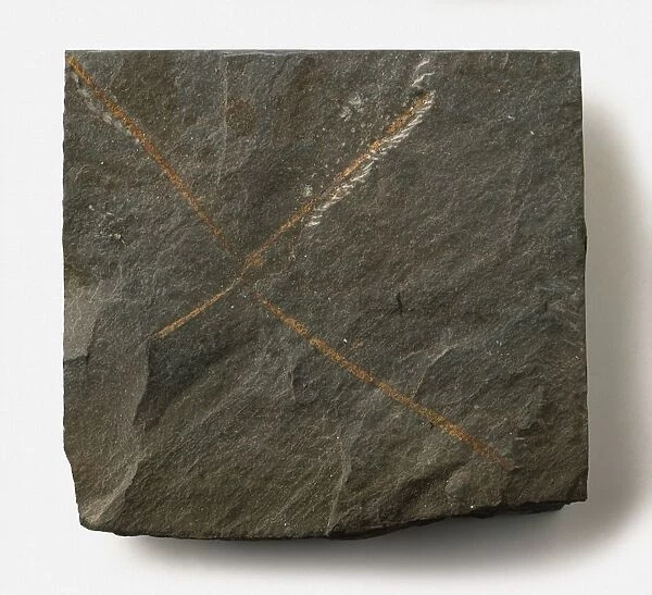 Tetragraptus (Graptolite) fossil, cross on square brown rock, early Ordovician era