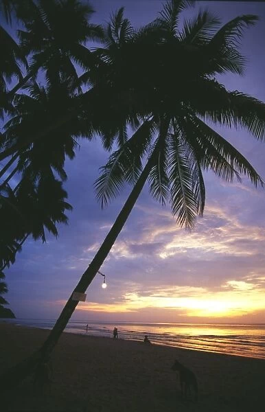 Thailand, Ko Kut, Khlong Chao, palm trees overlooking beach, sunset