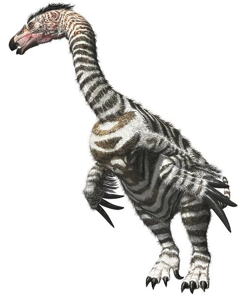 Therizinosaurus, scythe lizard, ofside view