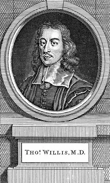 Thomas Willis (1621-75) English physician. First in modern times to notice sweetish