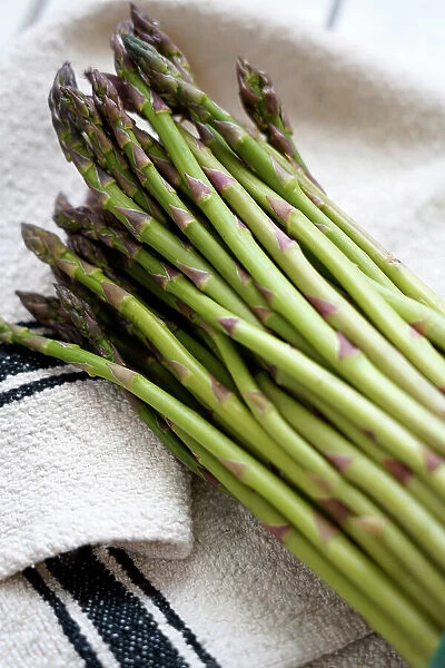 Traditional organic, raw asparagus called Asparagina type, Italy, Europe