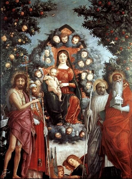 Trivulzio Madonna Oil on canvas, 1497, Castello Sforzesco, Museo Civico d Arte Antica
