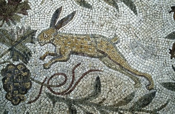 Tunisia, Carthage, Roman mosaic, rabbit