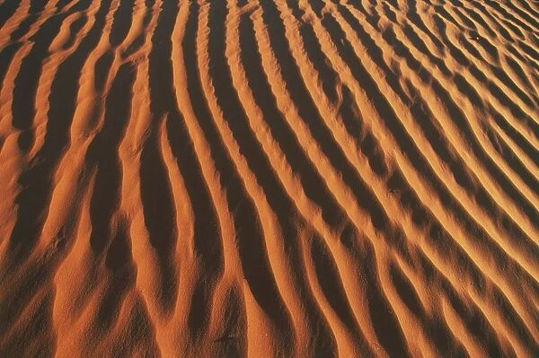 USA, Arizona, Monument Valley, Navajo Tribal Park, sand dunes