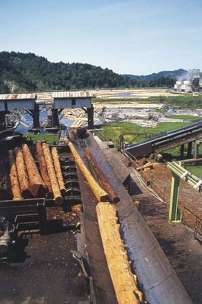 USA, California, stacked redwood lumber being moved onto conveyor belt in outdoor area of wood processing plant