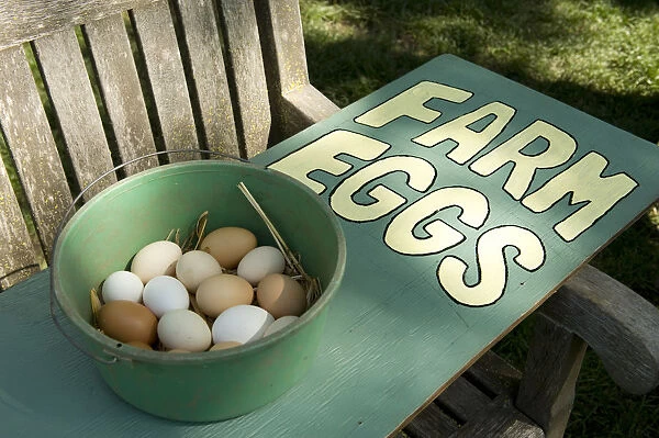 USA, Napa Valley, Silverado Trail, Omi Farm hens eggs for sale in bowl on sign
