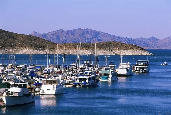USA, Nevada, Lake Mead Recreational Area, yachts moored marina