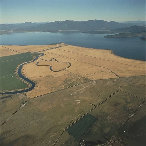 USA, Oregon, Aerial view of wheat fields