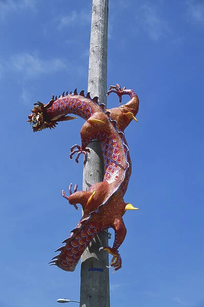USA, Pacific Northwest, Washington State, Seattle, Pioneer Square, International District, colorful Chinese dragon attached to wooden telegraph pole
