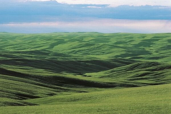 USA, South Dakota, landscape