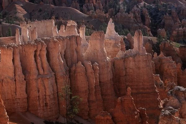 USA, Utah, Bryce Canyon National Park, Bryce Canyon, Rock formations