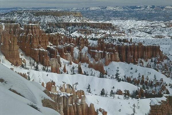 USA, Utah, Bryce Canyon National Park, Winter panorama of rock pinnacles (hoodoos) covered with snow
