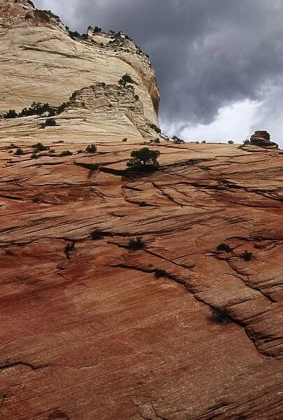 USA, Utah, Zion National Park, Reddish sandstone rocks