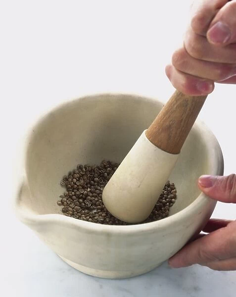 Using mortar and pestle to grind spices, close-up