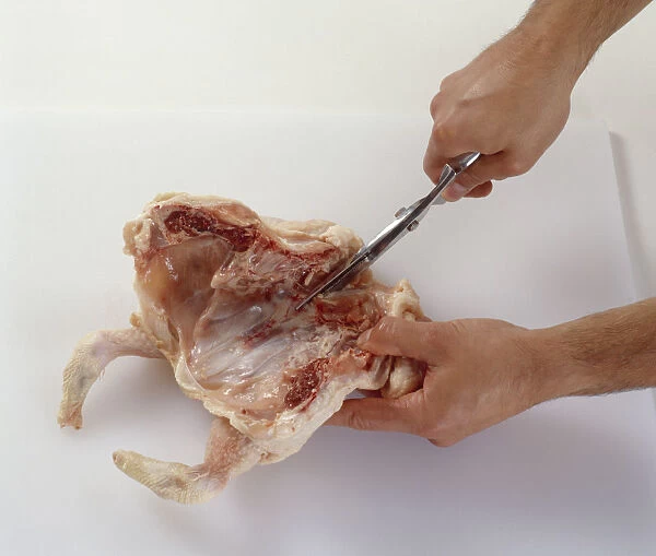 Using poultry shears to cut wishbone from chicken