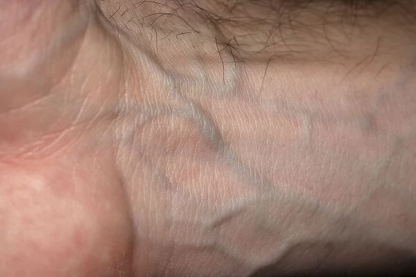 Veins and on mans wrist, close-up