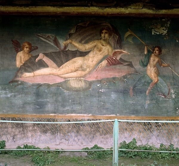 Venus resting in the shell. House of Venus, Pompei, Italy. Fresco